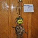 Выставка работ из природного материала